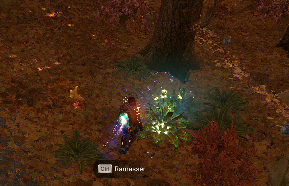Crystallite rare - Forme 3