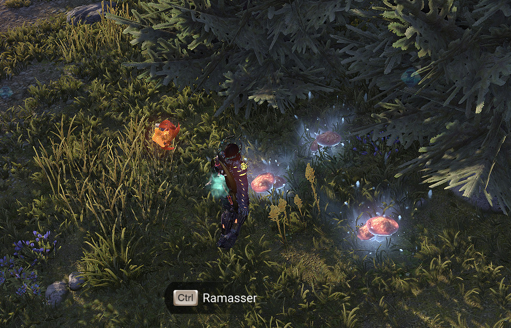 Crystallite rare - Forme 5