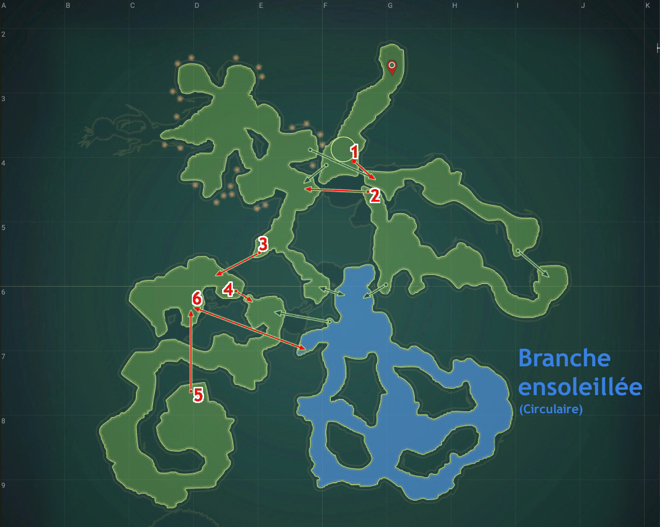 Sortie Branche ensoleillée du vaisseau amiral Phytonide