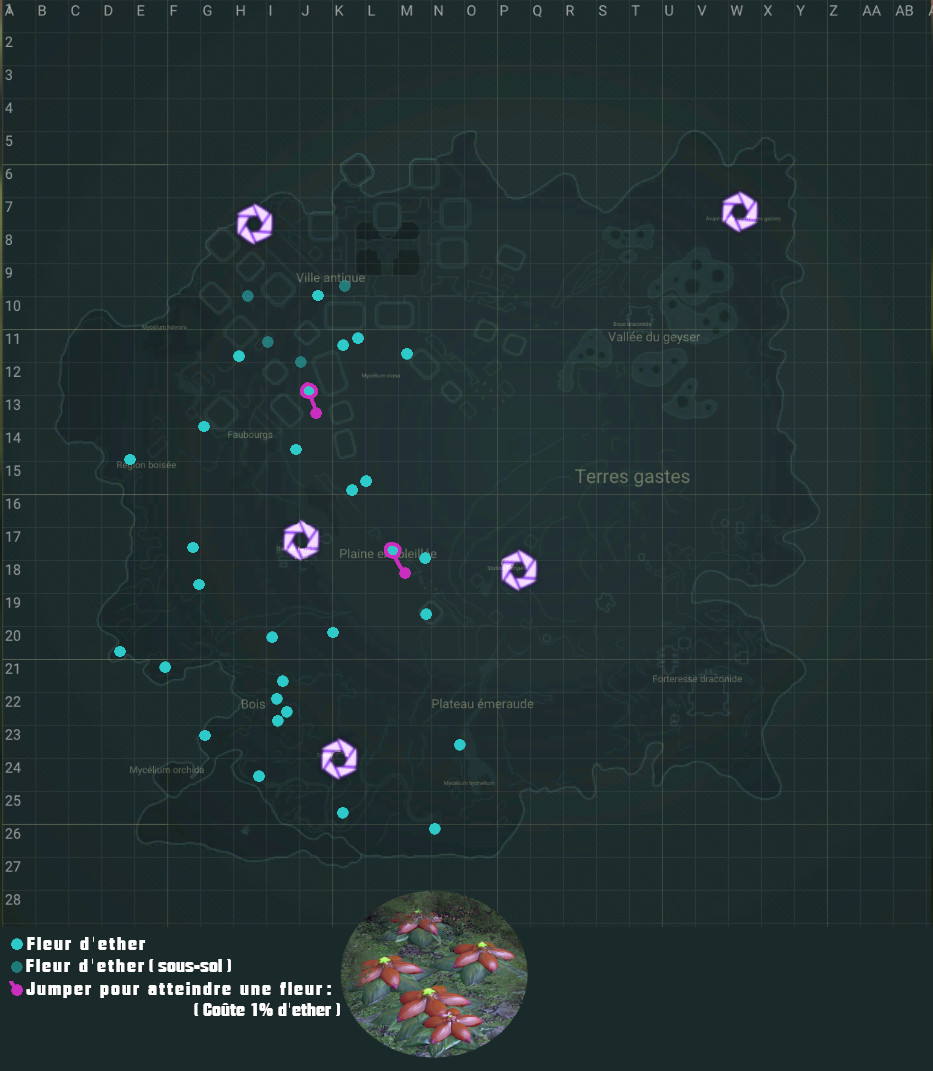Carte des emplacements des Fleurs d'Éther