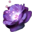 Fleur d'amarante