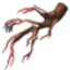 Radicelle guérisseuse
