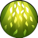 Souffle de la forêt